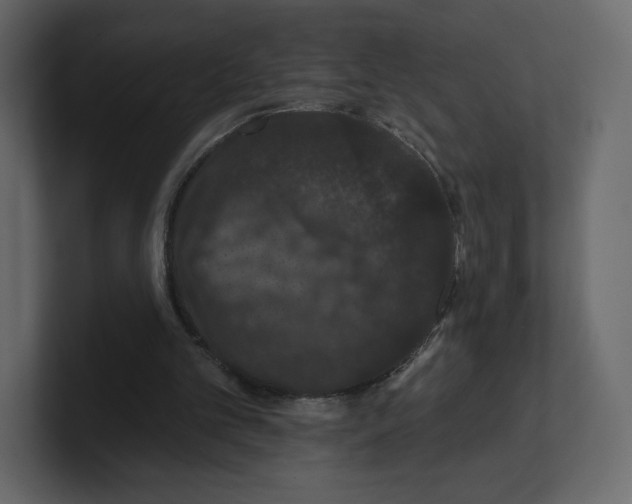 X0000100890101200807151105