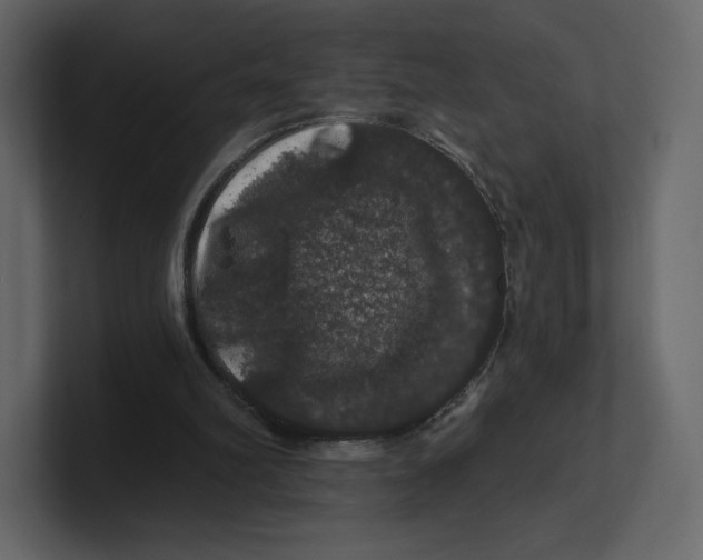 X0000100890102200807151105