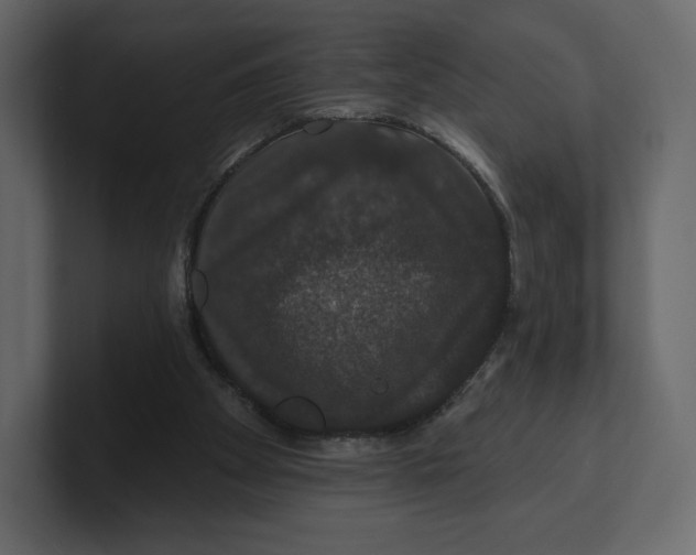 X0000100890105200807151105