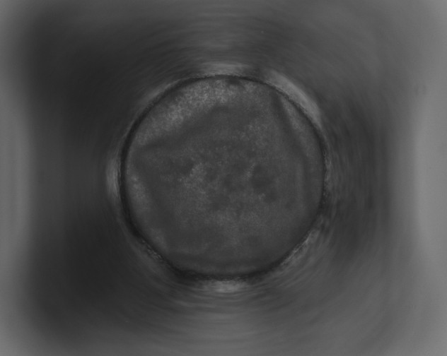 X0000100890107200807151105