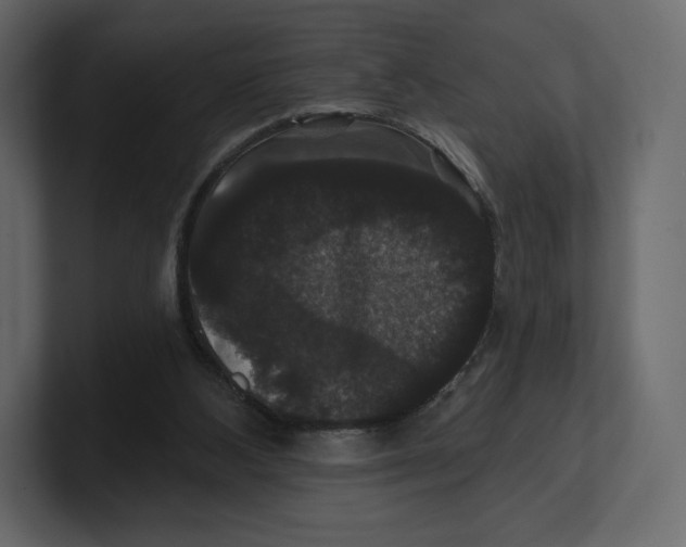 X0000100890108200807151105