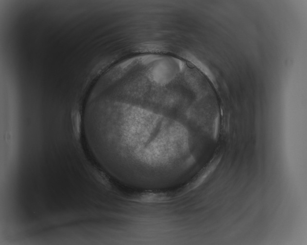 X0000100890109200807151105