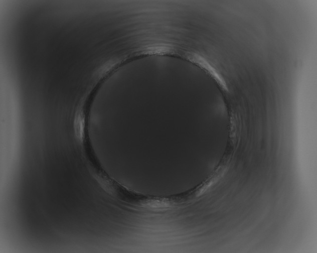 X0000100890110200807151105