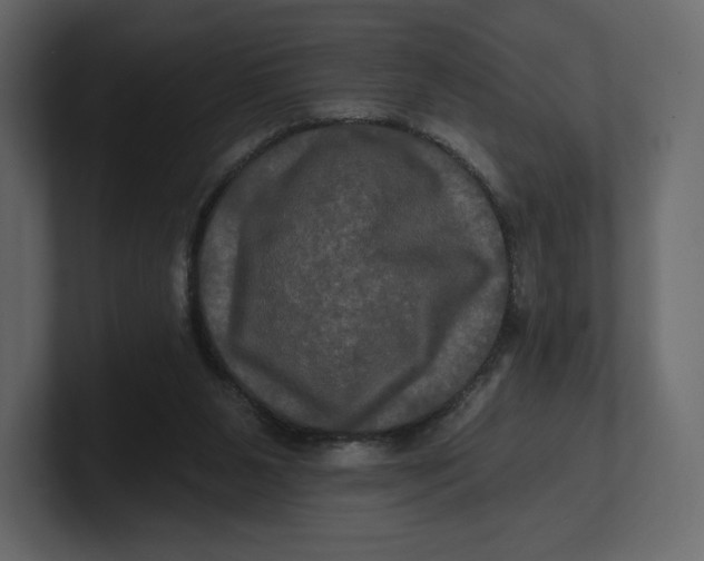 X0000100890111200807151105