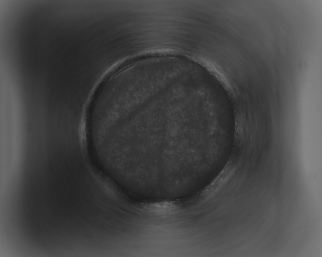 X0000100890112200807151105