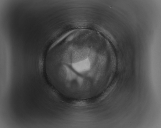 X0000100890113200807151105