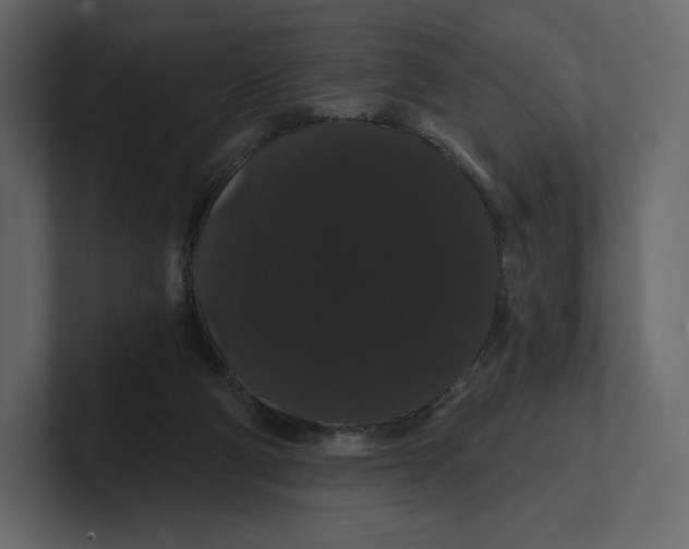 X0000100890114200807151105