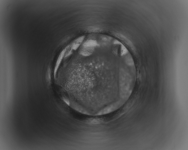 X0000100890115200807151105