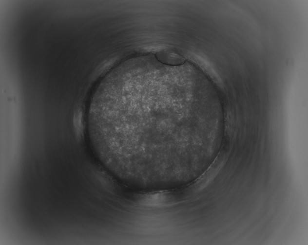 X0000100890116200807151105