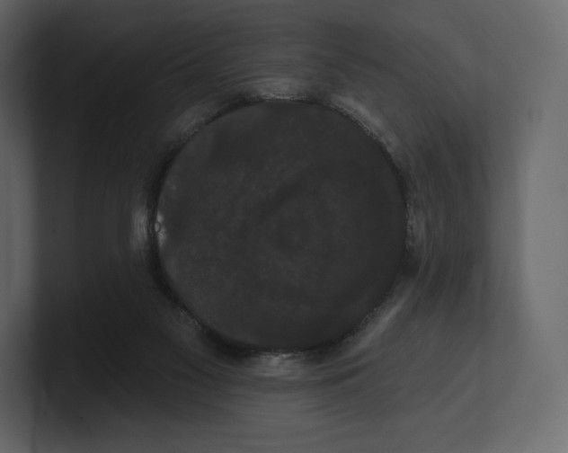 X0000100890117200807151105