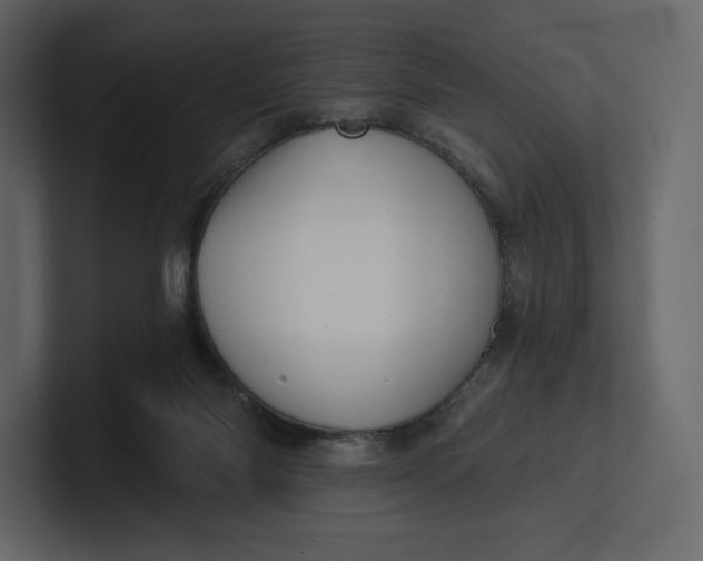 X0000100890118200807151105