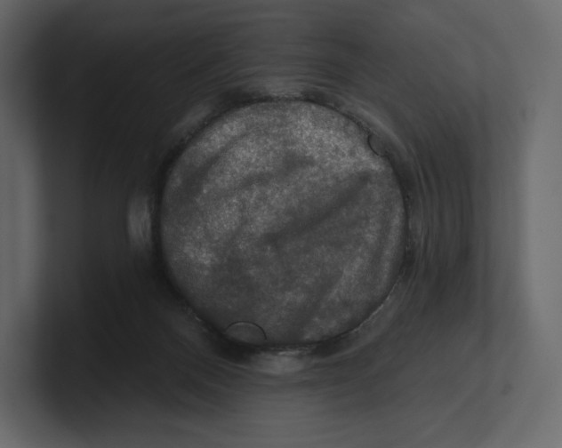 X0000100890120200807151105