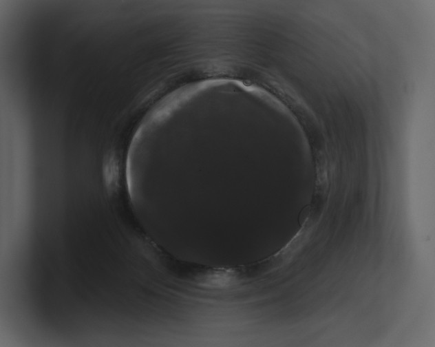 X0000100890124200807151105