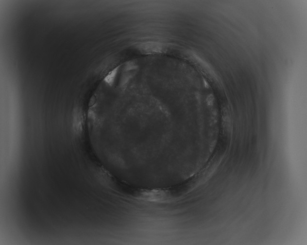 X0000100890125200807151105