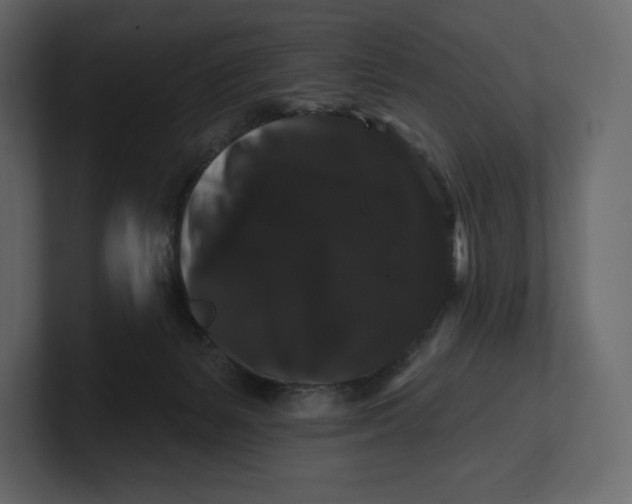 X0000100890127200807151105