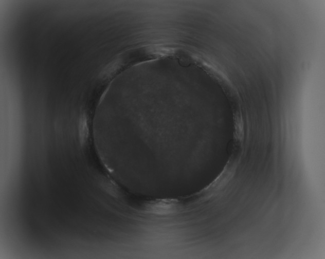 X0000100890128200807151105