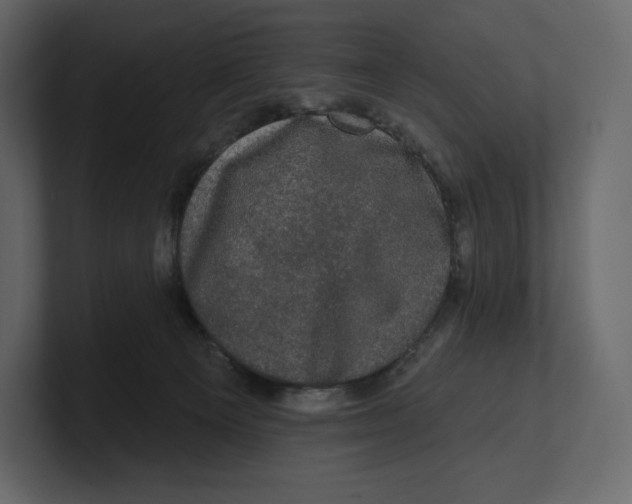 X0000100890129200807151105