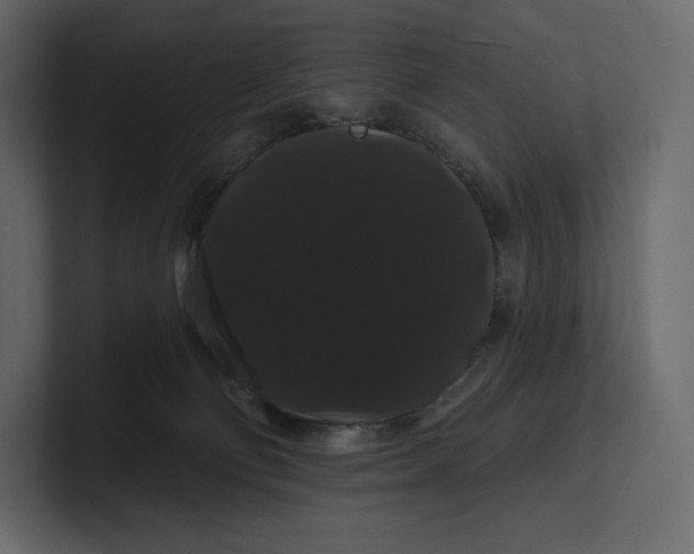 X0000100890130200807151105