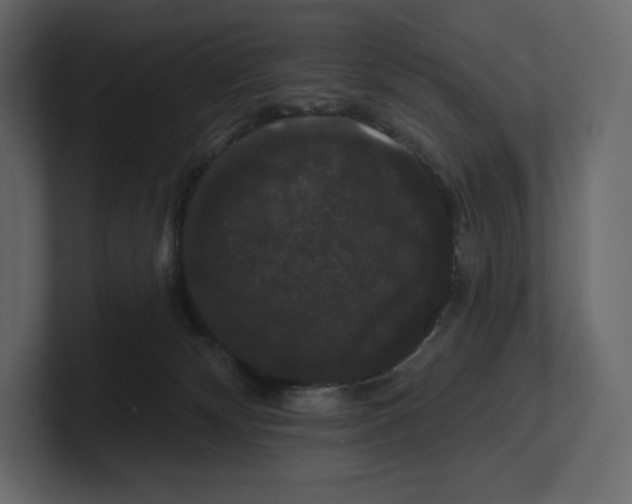 X0000100890132200807151105