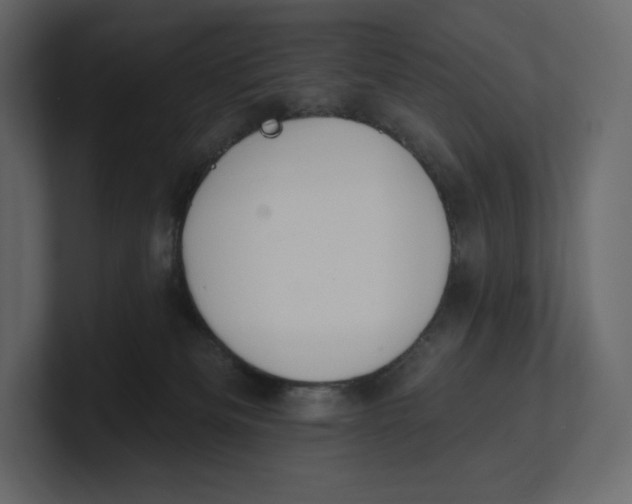 X0000100890133200807151105