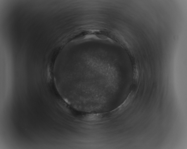 X0000100890136200807151105