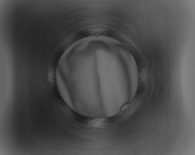 X0000100890138200807151105