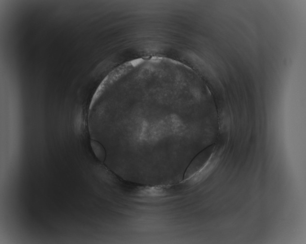 X0000100890140200807151105