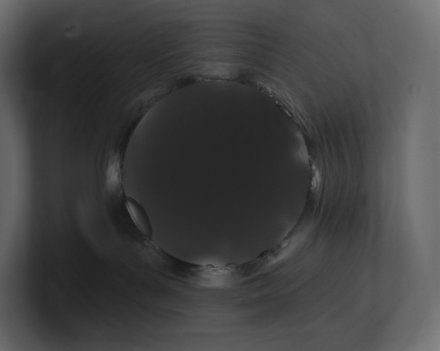 X0000100890143200807151105