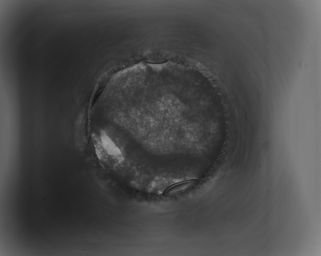 X0000100890144200807151105