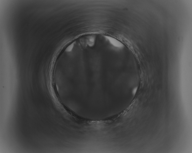 X0000100890145200807151104