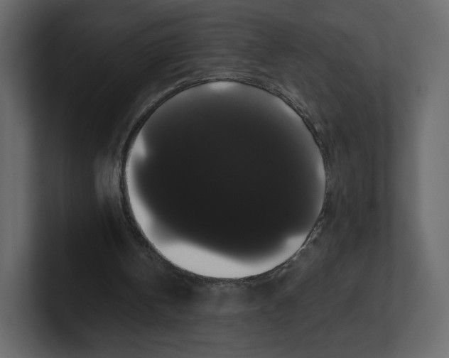 X0000100890146200807151104