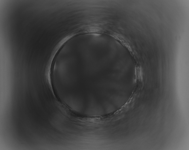 X0000100890147200807151104