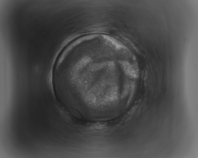 X0000100890148200807151104