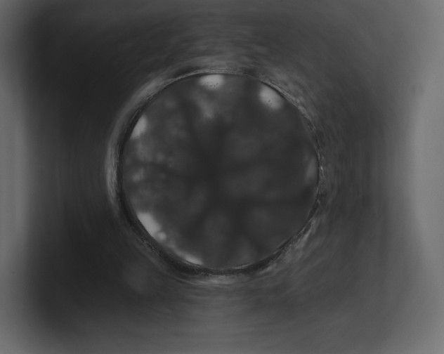 X0000100890149200807151104