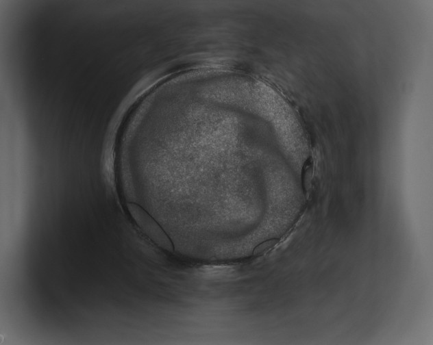 X0000100890150200807151104