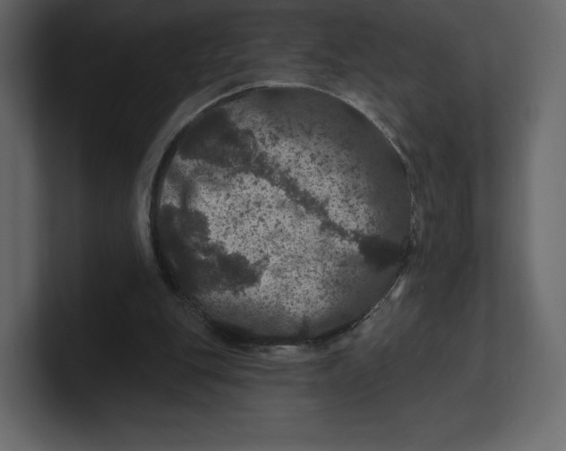 X0000100890151200807151104