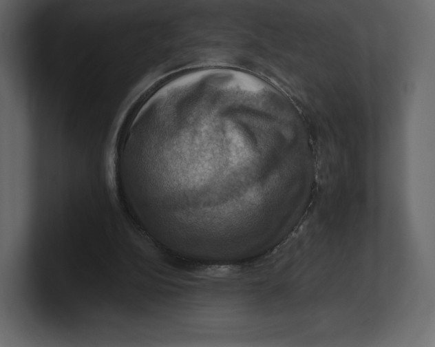 X0000100890152200807151104