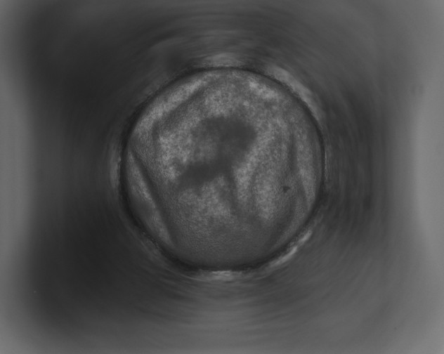 X0000100890153200807151104