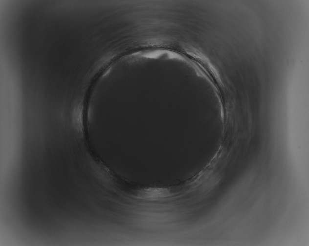 X0000100890154200807151104