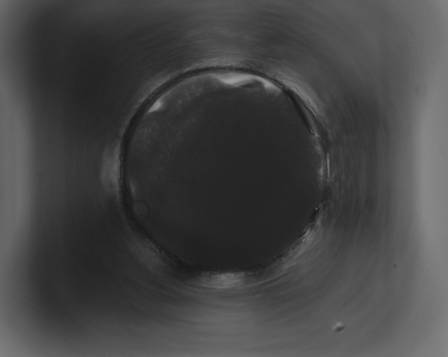 X0000100890156200807151104