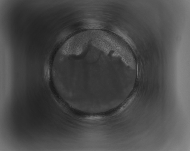 X0000100890157200807151104