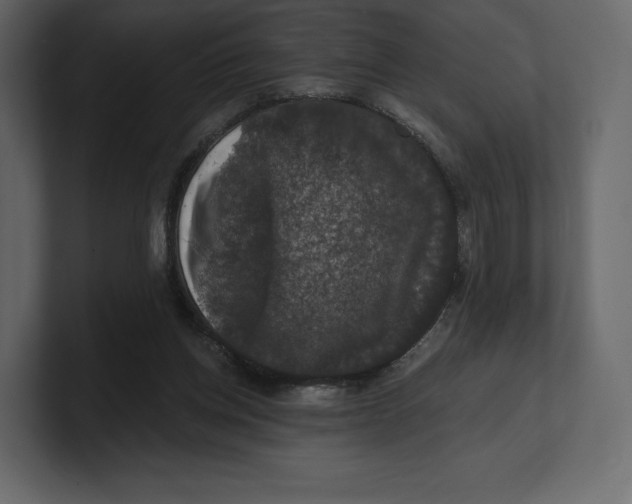 X0000100890158200807151104