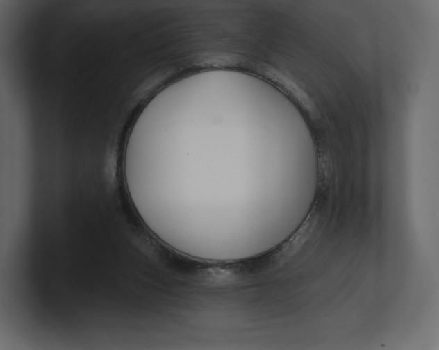 X0000100890159200807151104