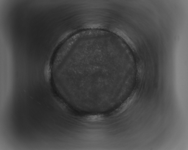 X0000100890160200807151104