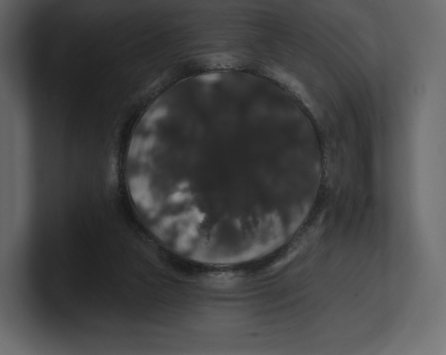 X0000100890161200807151104