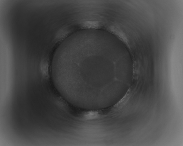 X0000100890162200807151104