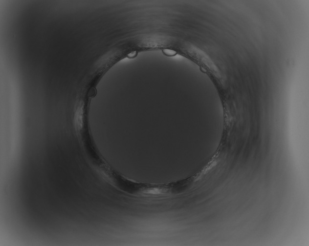 X0000100890163200807151104