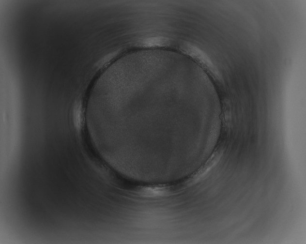 X0000100890164200807151104