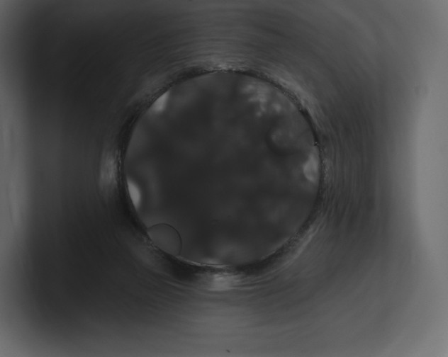 X0000100890165200807151104