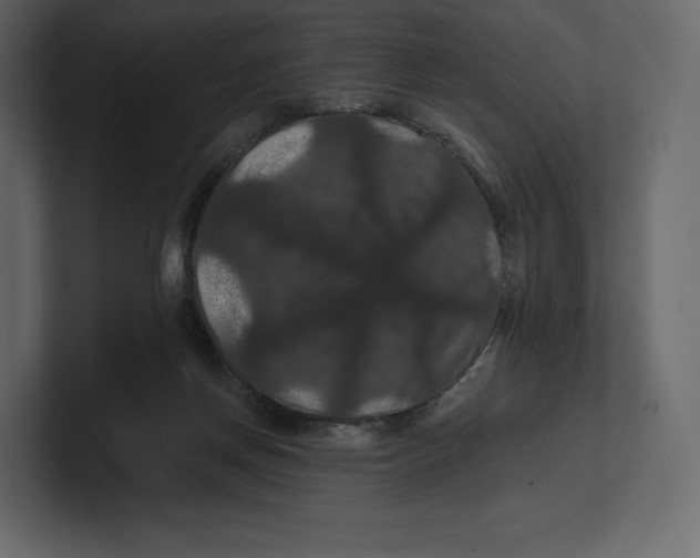 X0000100890166200807151104